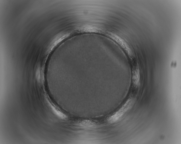 X0000098040390200804181302