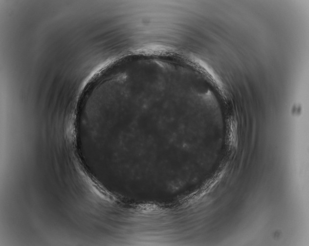 X0000098040392200804181302