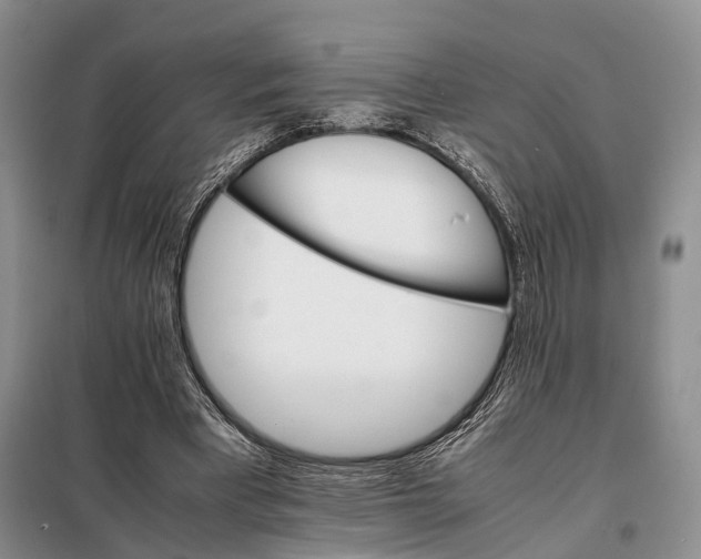 X0000098040393200804181302