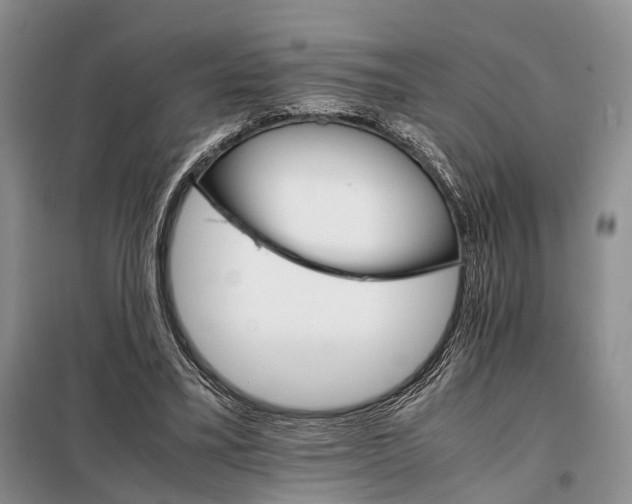 X0000098040395200804181302