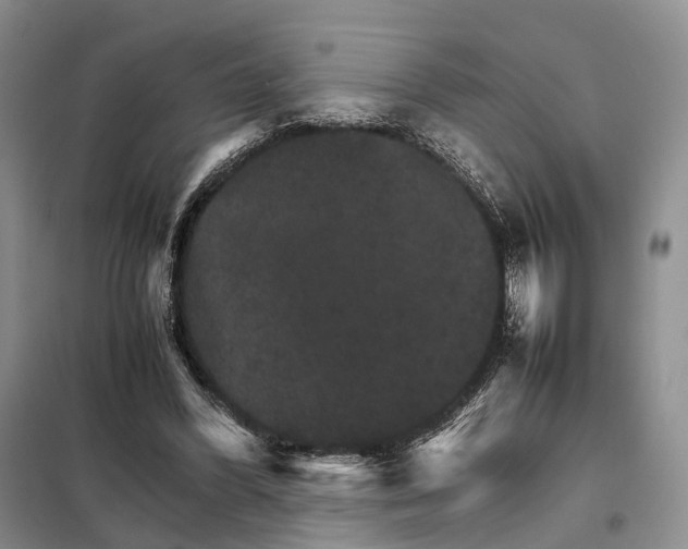 X0000098040396200804181302