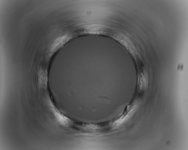 X0000098040397200804181302