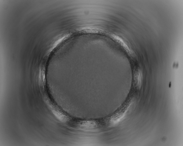 X0000098040398200804181302