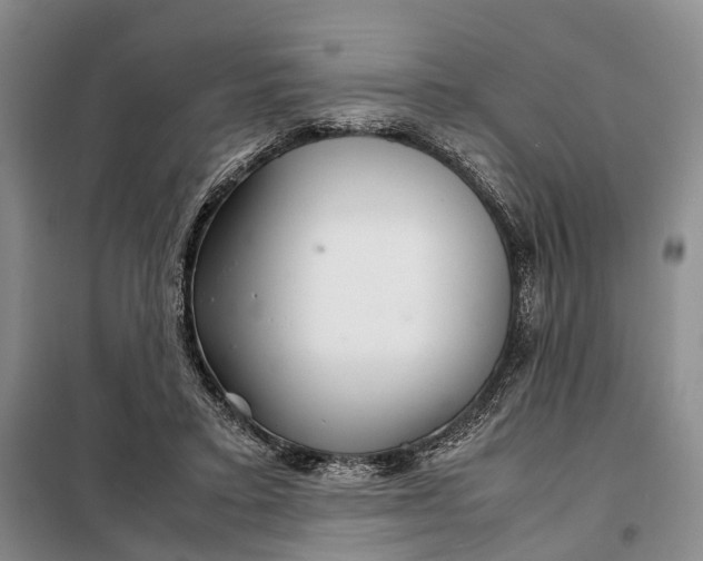 X0000098040403200804181302