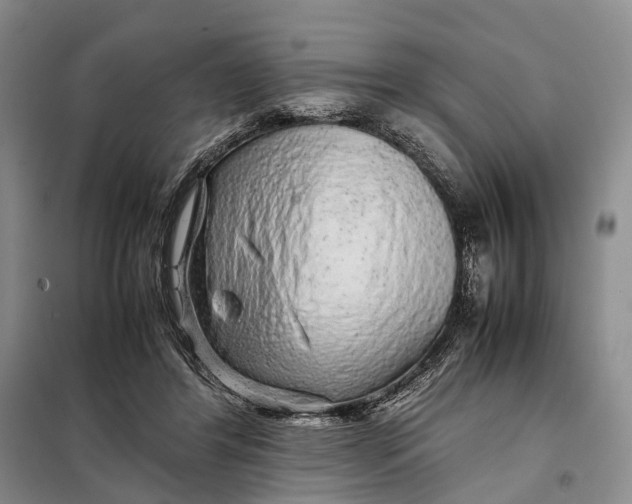 X0000098040404200804181302