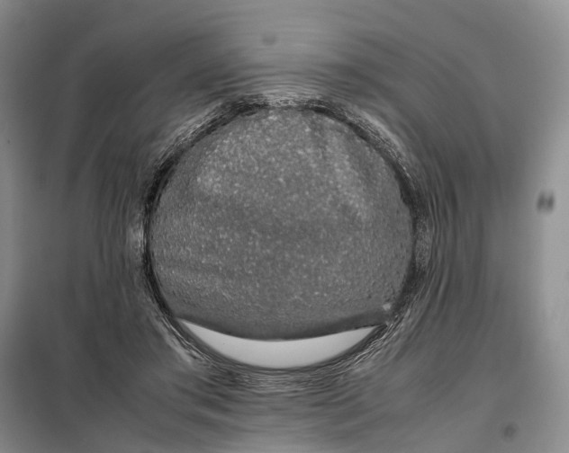 X0000098040405200804181302