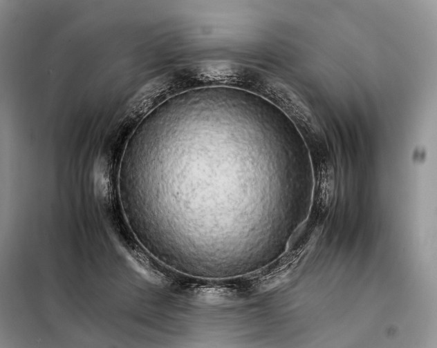 X0000098040408200804181301