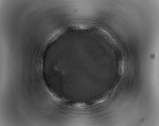 X0000098040410200804181301