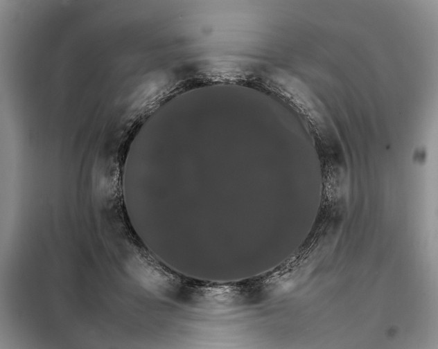 X0000098040411200804181301