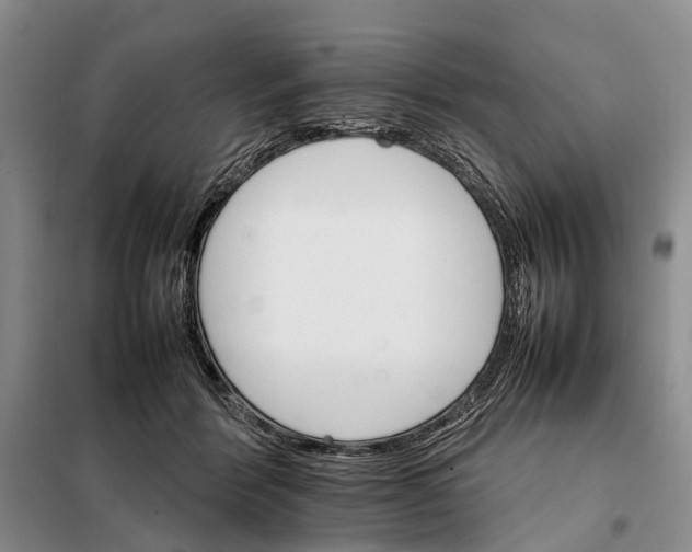 X0000098040412200804181301