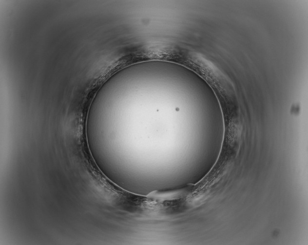 X0000098040413200804181301