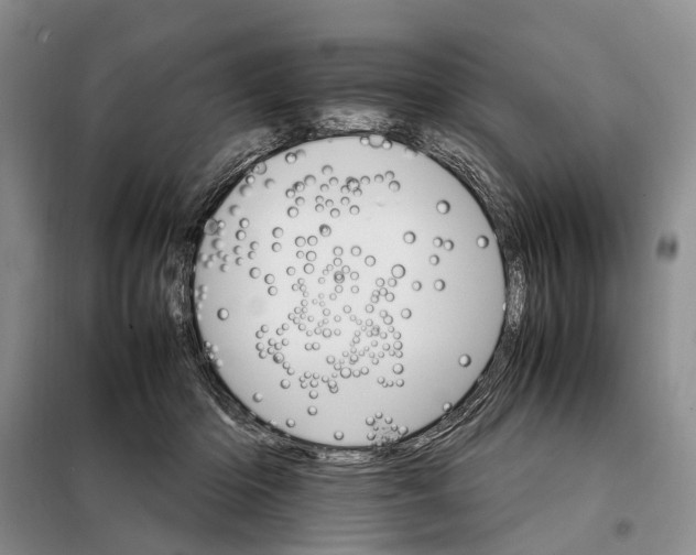 X0000098040414200804181301