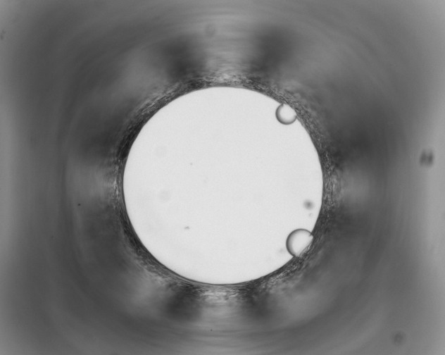 X0000098040415200804181301