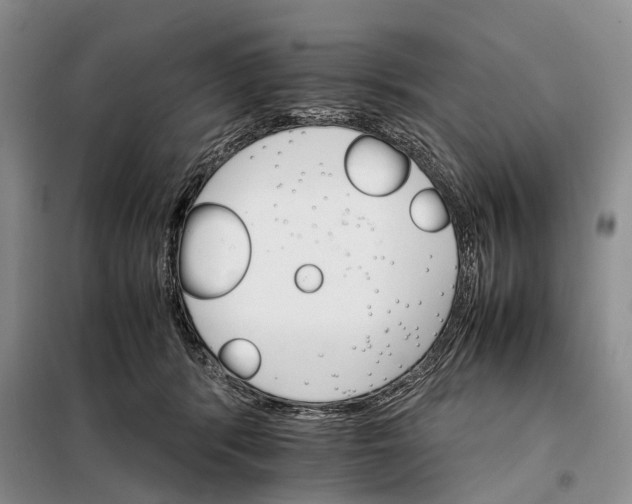 X0000098040416200804181301