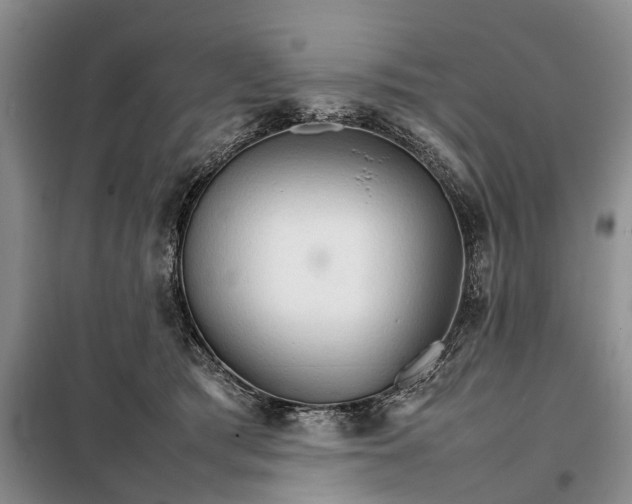 X0000098040417200804181301