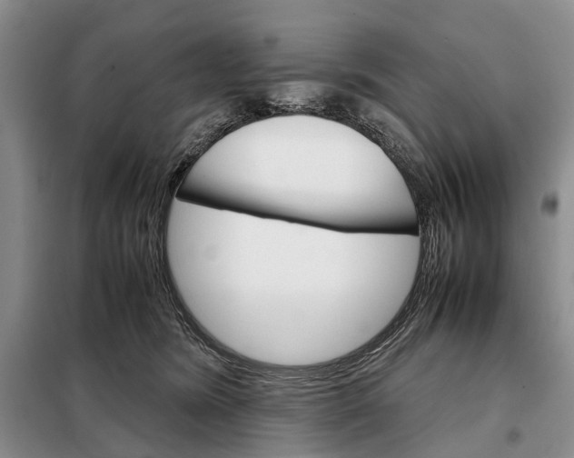 X0000098040420200804181301