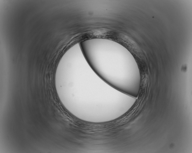 X0000098040421200804181301