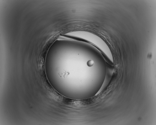 X0000098040423200804181301