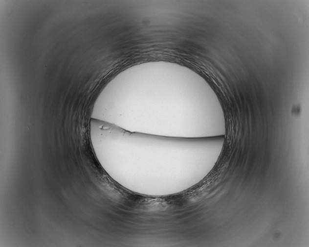 X0000098040424200804181301