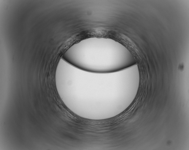 X0000098040425200804181301