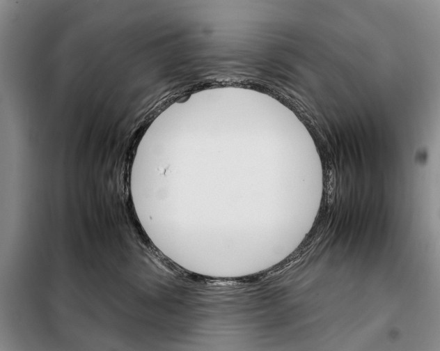 X0000098040428200804181301