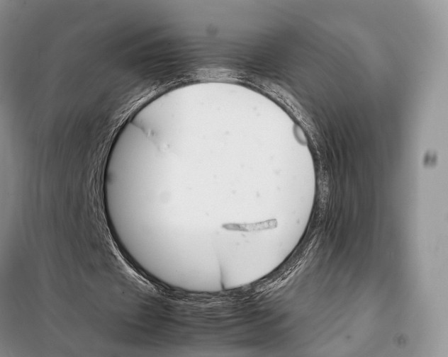 X0000098040433200804181300