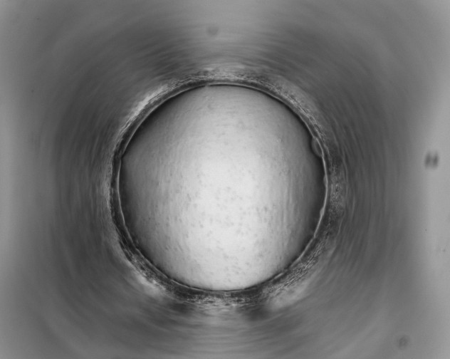 X0000098040434200804181300