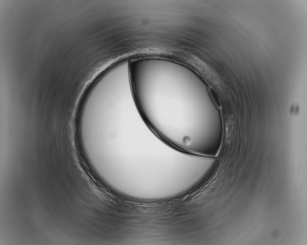 X0000098040436200804181300