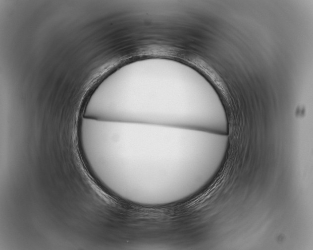 X0000098040437200804181300