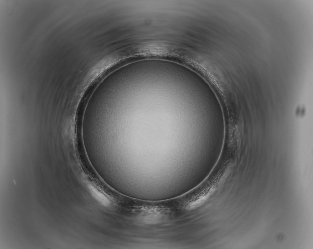 X0000098040439200804181300