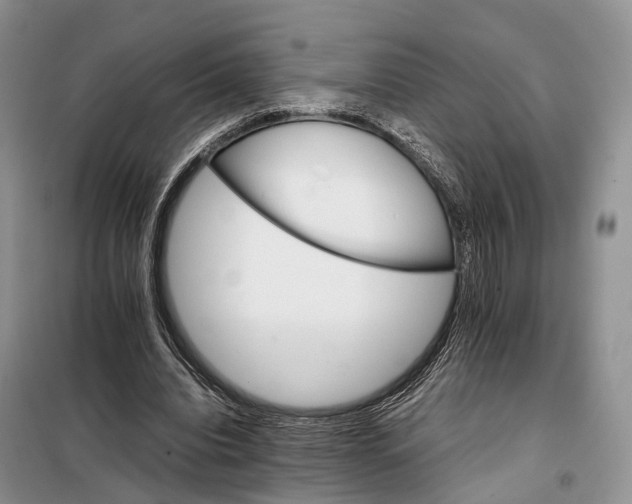 X0000098040440200804181300