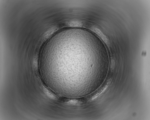 X0000098040441200804181300