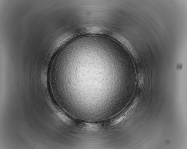 X0000098040442200804181300