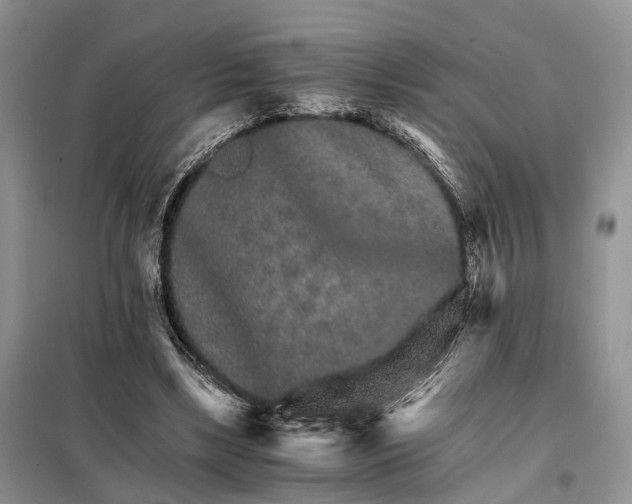 X0000098040443200804181300