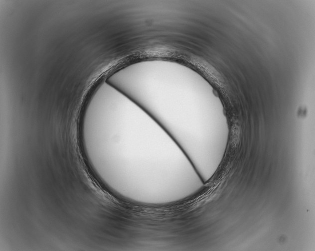 X0000098040446200804181301