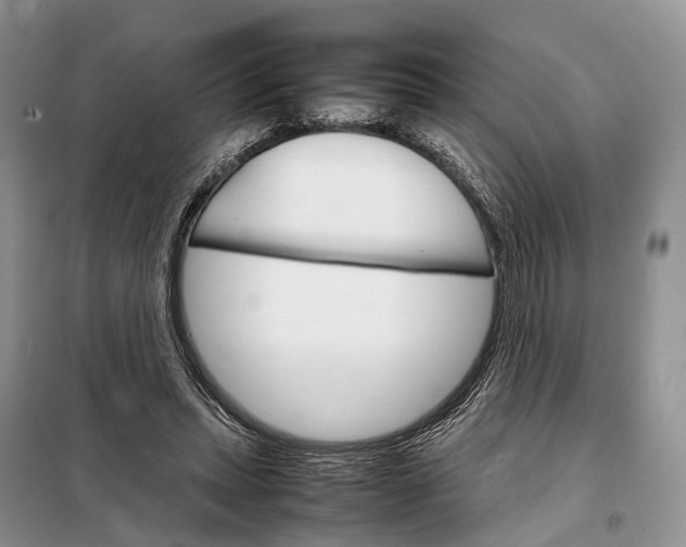 X0000098040447200804181301