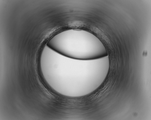 X0000098040448200804181301