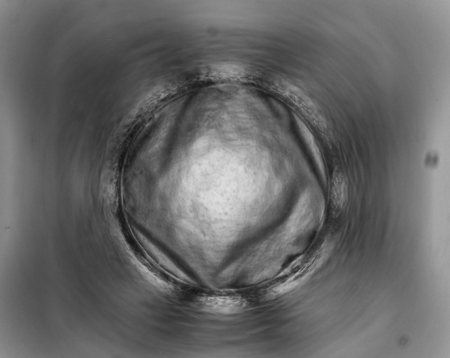 X0000098040449200804181301