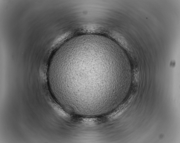 X0000098040450200804181301