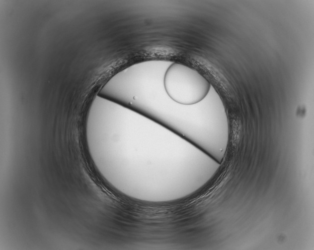 X0000098040451200804181301