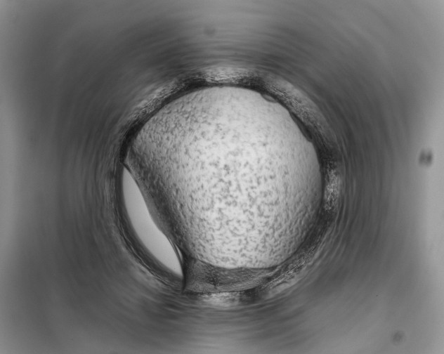 X0000098040452200804181301