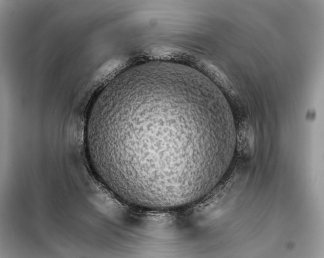 X0000098040454200804181301