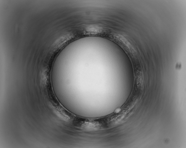 X0000098040455200804181301