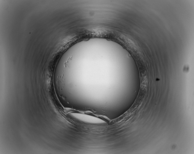 X0000098040456200804181301