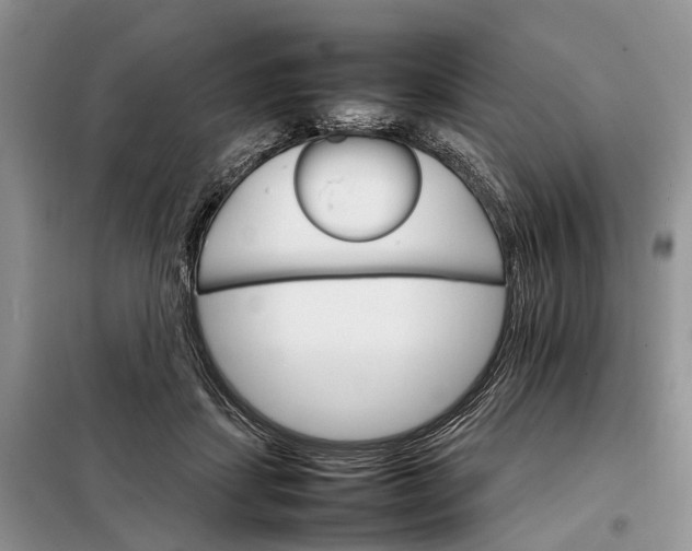 X0000098040459200804181301