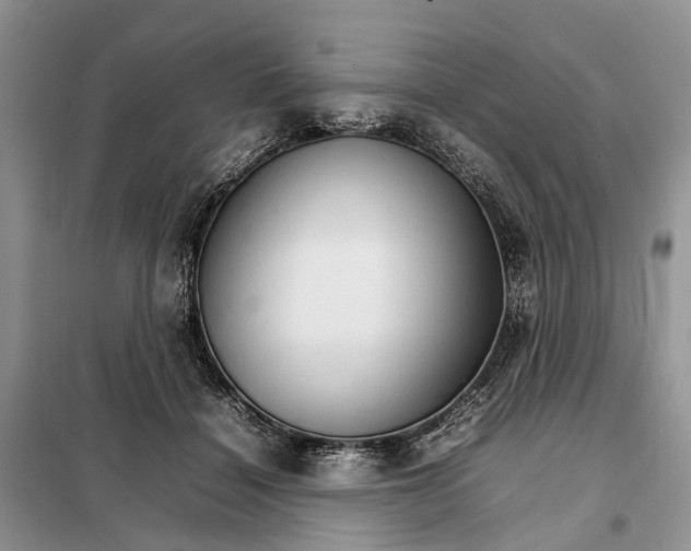 X0000098040460200804181301