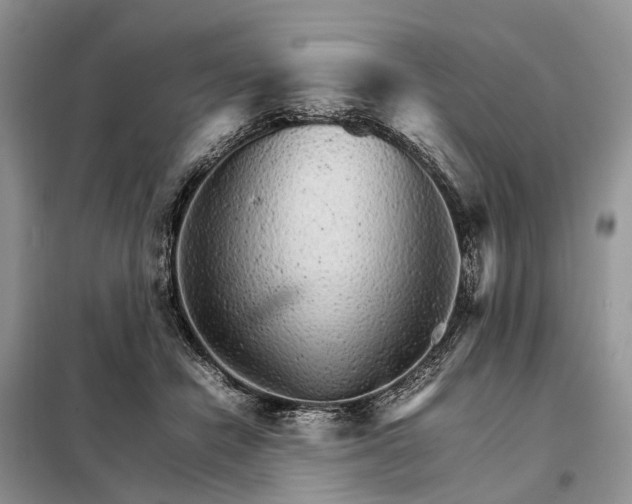 X0000098040462200804181301