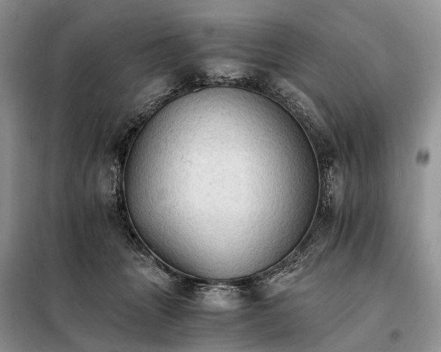 X0000098040463200804181301