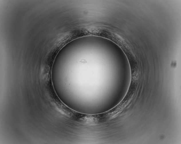 X0000098040464200804181301