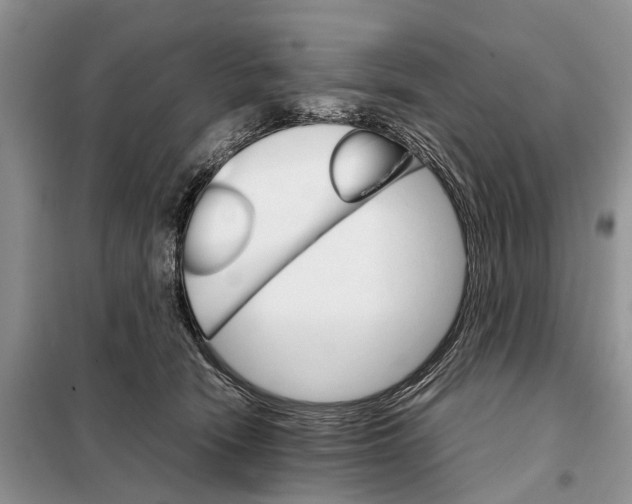 X0000098040466200804181301